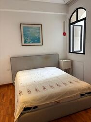 Tanglin Park (D10), Condominium #561118991